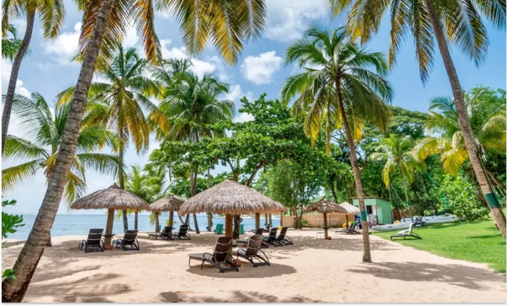 Secluded tropical beach with palm trees, thatched umbrellas, and lounge chairs at a luxury all-inclusive East Winds resort in Saint Lucia