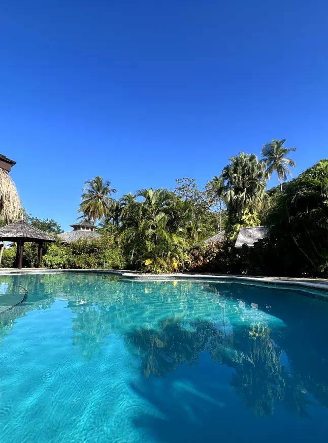 Clear resort pool with lush palm trees under a bright blue sky, reflecting the serene atmosphere of East Winds Resort