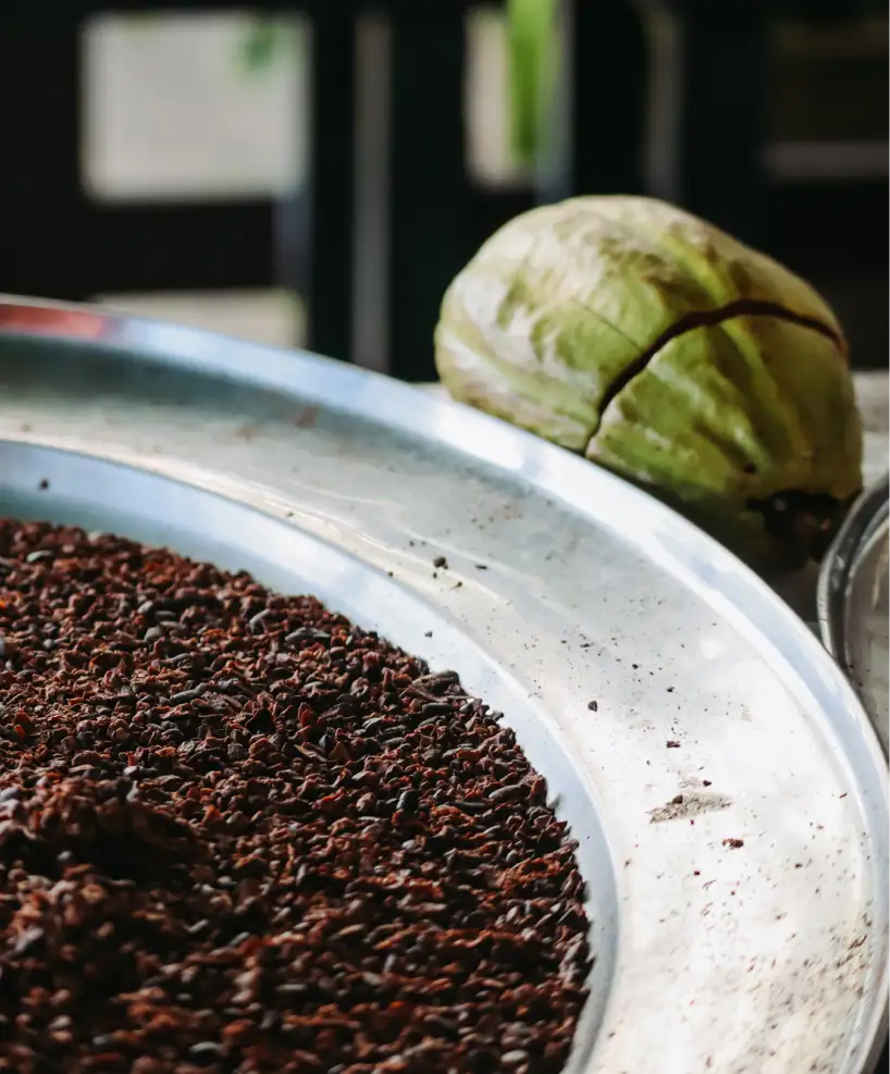 Freshly ground cocoa beans, showcasing the natural ingredients used in East Winds Resort's culinary and beverage offerings