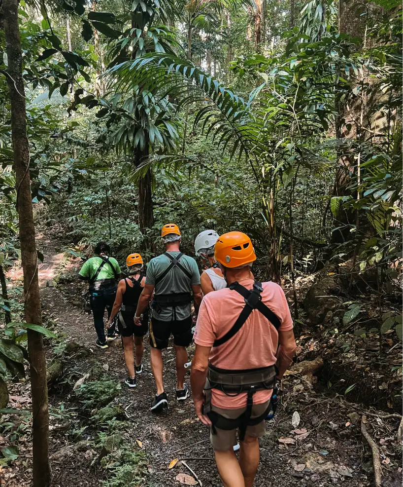 A group of hikers wearing helmets and backpacks explore a lush rainforest trail in St. Lucia, surrounded by towering green trees and dense tropical foliage
