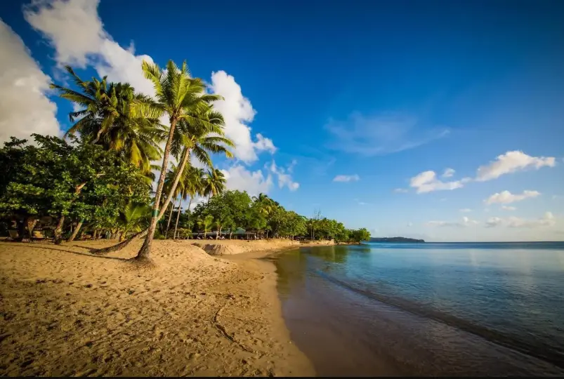 A romantic beach at East Winds Resort, St. Lucia, with golden sands, swaying palm trees, and crystal-clear waters under a vibrant sunset sky, creating a perfect setting for couples.