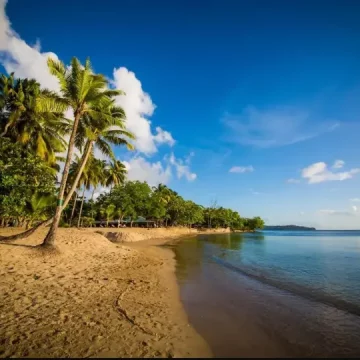 A romantic beach at East Winds Resort, St. Lucia, with golden sands, swaying palm trees, and crystal-clear waters under a vibrant sunset sky, creating a perfect setting for couples.