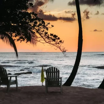 Sunset beach scene with chairs, palm trees, and ocean waves
